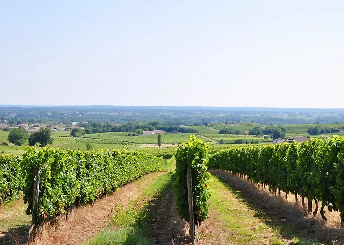 Clos Saint Sauveur - Guesthouse Au Coeur Des Vignes Sur Le Coteau