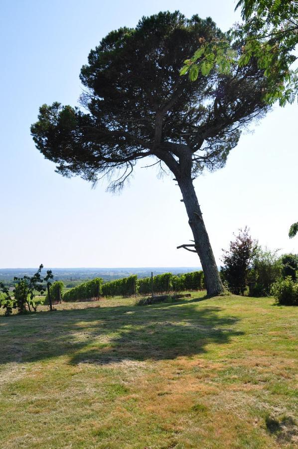 Clos Sauveur - Au Coeur Des Vignes Sur Le Coteau Holiday home *